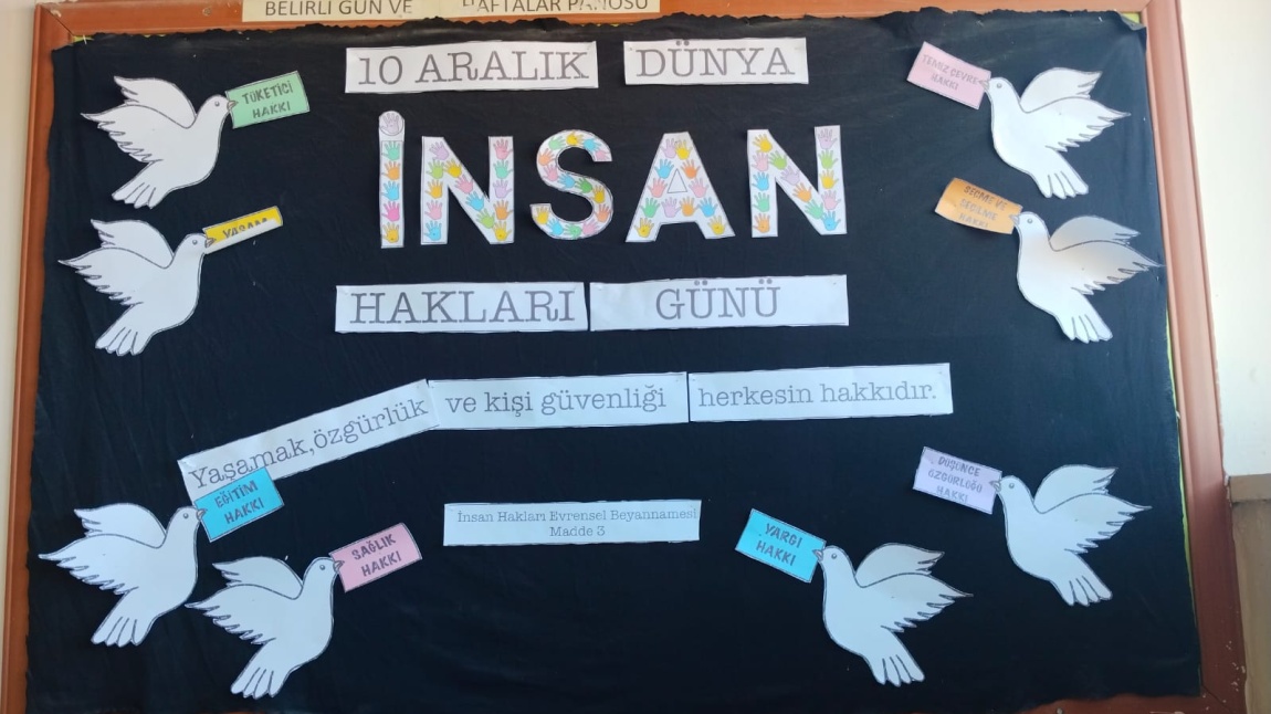 İnsan Hakları Günü Panosu